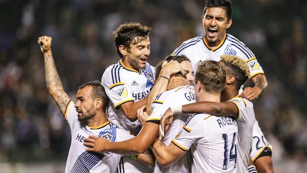 带来惊喜 带来惊喜