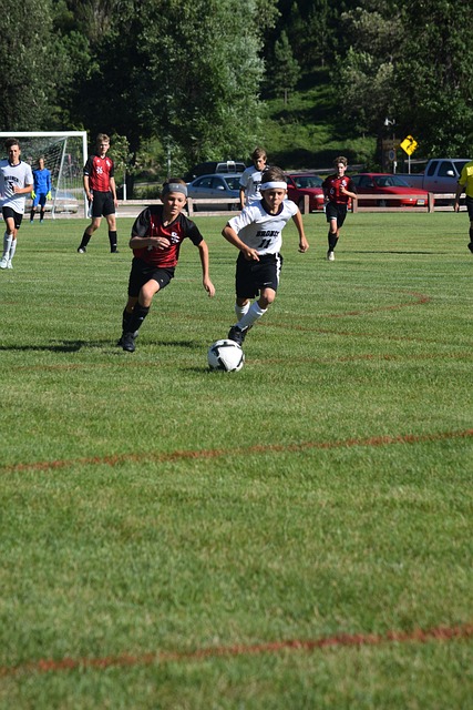 届欧洲杯赛 届欧洲杯赛